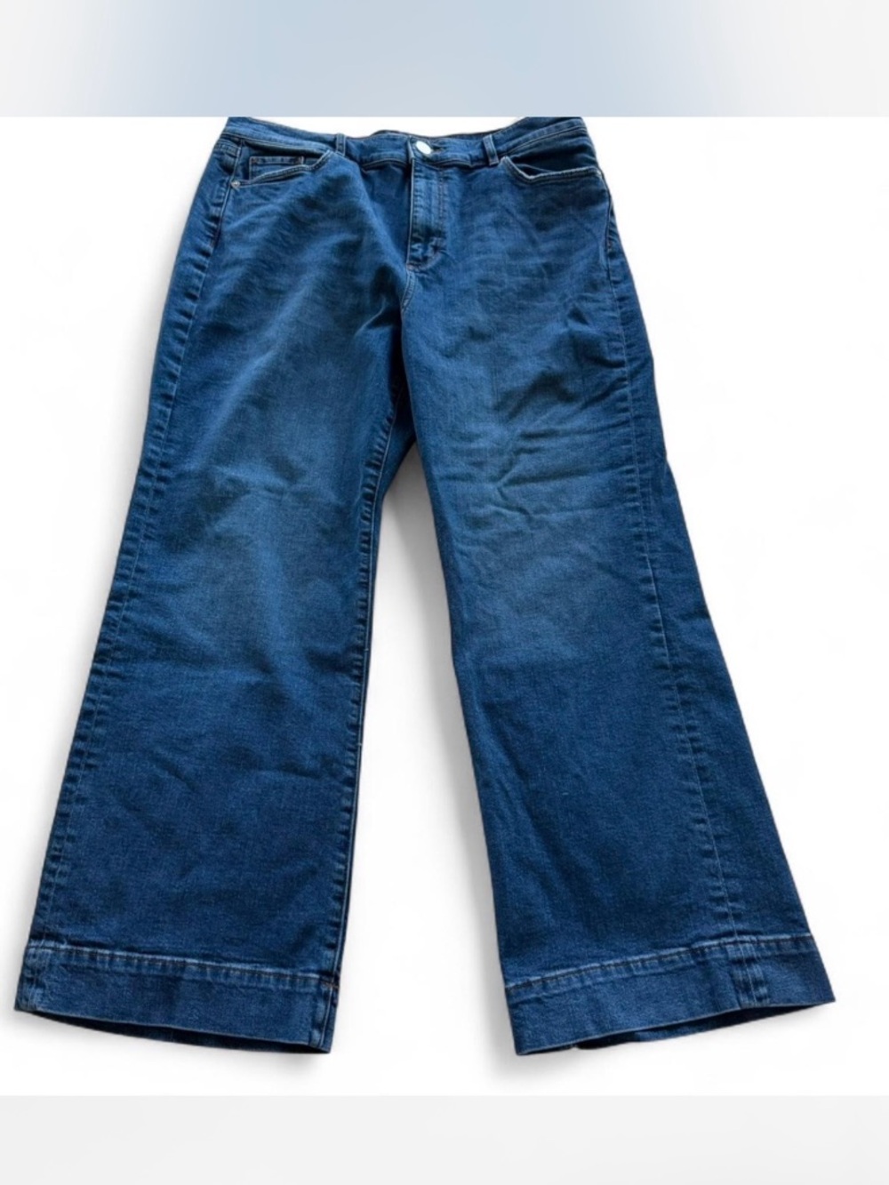 Loft Petite High Rise Wide Leg Jeans (14 Petite)